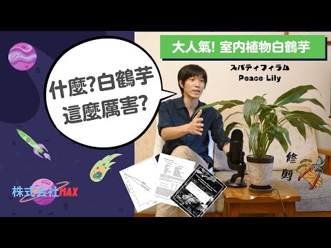 白鶴芋分株