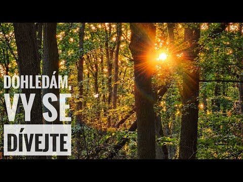 Vlog 71 • Tajemné místo z dětství