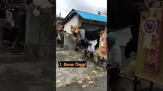Download lagu Barong Bangkung dengan bentuk tubuh tidak biasa #barong #bangkung #ngelawang #viralshorts #2025 mp3