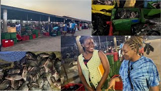 MARKET VLOG| THE BIGGEST TILAPIA FISH MARKET IN GHANA| GHANA’S FAVORITE FISH