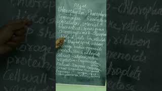 Plant Kingdom - Chlorophyceae