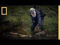 Busy Beaver Trapping Port Protection