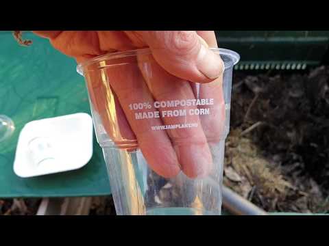 Komposztálási kísérlet