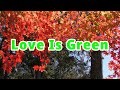 Jeff Beck / Love Is Green