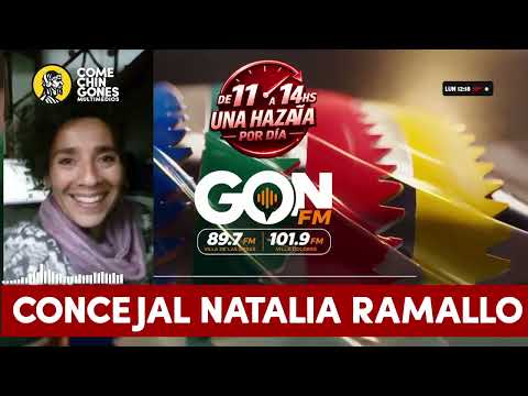 SE RENUEVA EL CONCEJO DELIBERANTE EN VILLA DE LAS ROSAS.