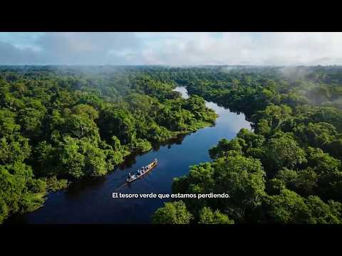 EL tesoro verde de Bolivia