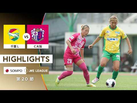 bg-highlight