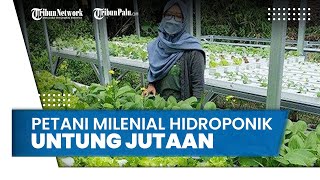 Kisah Petani Milineal Metode Hidroponik Raup Untung Jutaan Rupiah Sekali Panen Tiap Bulan