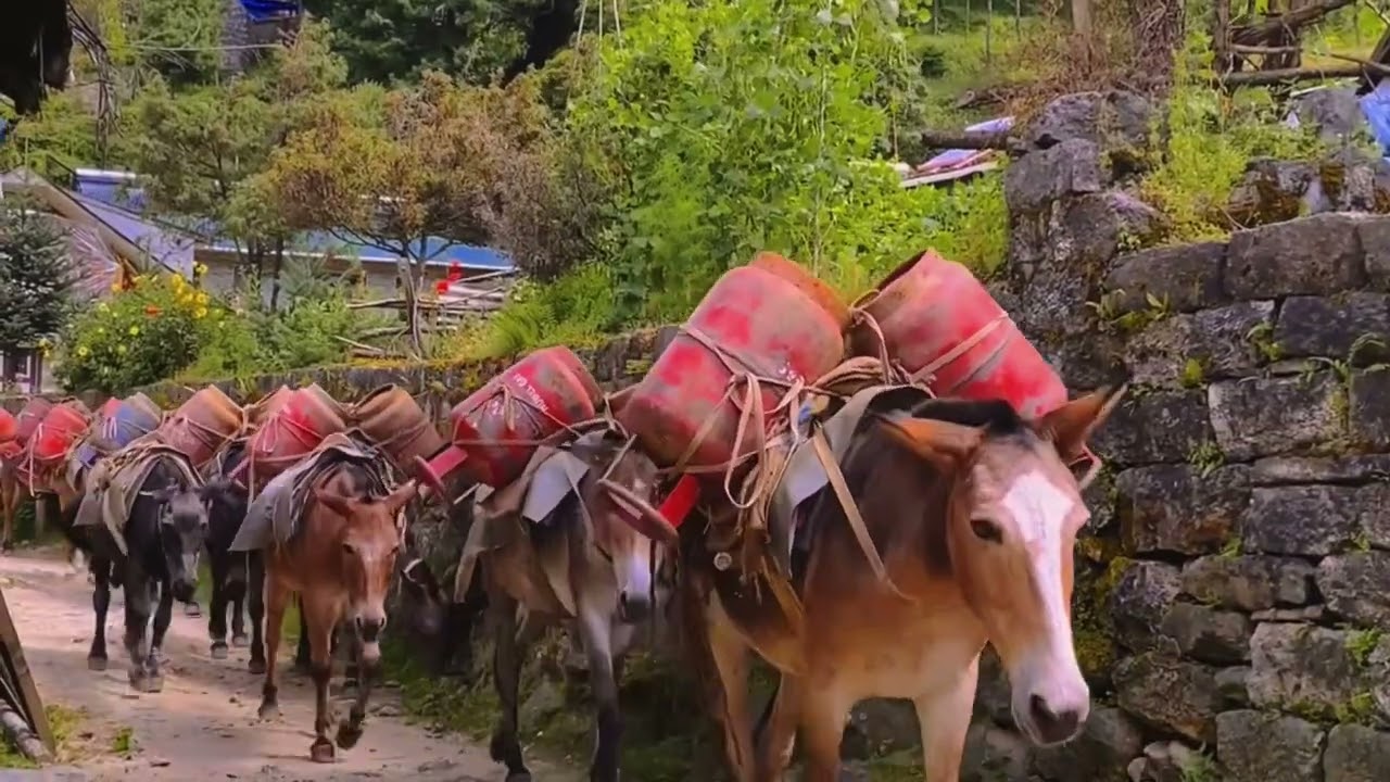 Everest Base Camp Trek