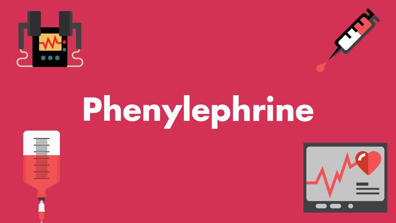 Phenylephrine - Vasopressors & Inotropes - YouTube