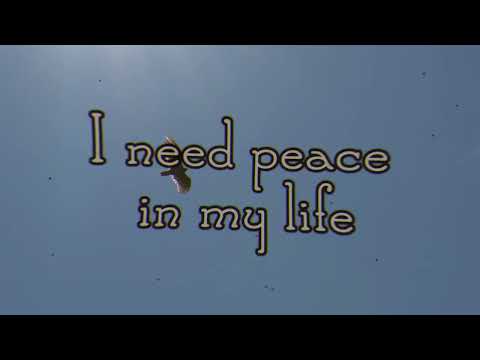Dozobwoi - Peace of mind(lyric video)