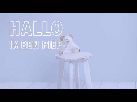 download lagu mp3 mp4 Piep Zei De Muis, download lagu Piep Zei De Muis gratis, unduh video klip Piep Zei De Muis