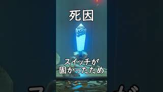 【ブレワイ】バクダン矢がズルすぎる