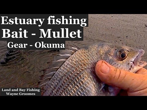 How to catch BREAM on BAIT in our Estuary systems