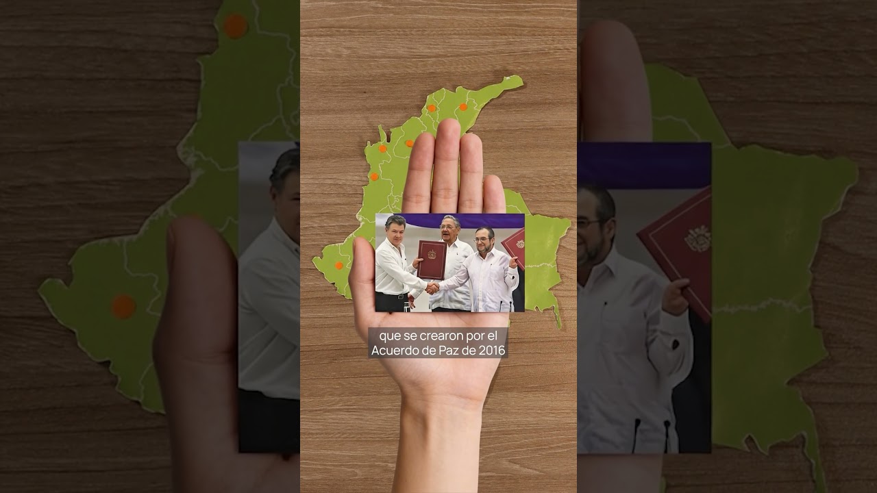 ¿Cómo se vota este domingo?