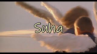 Xiu Xiu - Suha (subtitulada español)