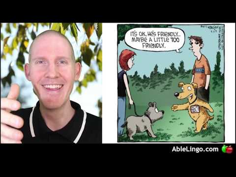 🍎 Outgoing Dog | Cartoon Analysis | Describe & Analyze