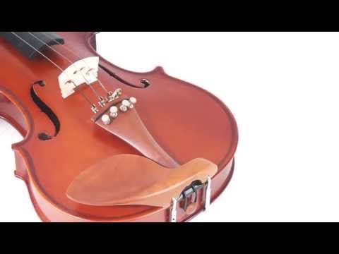 Violin - Cecilio Cvn-400 image 11