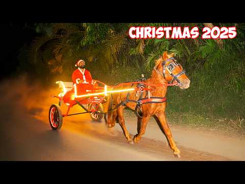 Christmas Celebration 2025 | കുതിരവണ്ടിയിൽ സമ്മാനങ്ങളുമായി സാന്റാ | M4 Tech |