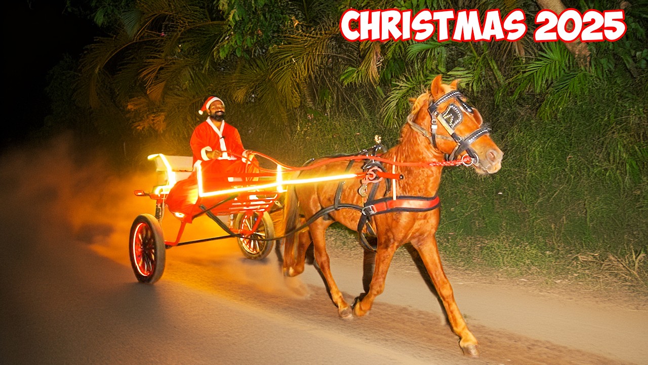 Christmas Celebration 2025 | കുതിരവണ്ടിയിൽ സമ്മാനങ്ങളുമായി സാന്റാ | M4 T
