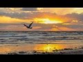 Tom Barabas - Sunrise on the Beach