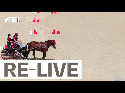 RE-LIVE | Marathon 6-year-old horses - FEI Driving World Championship 2022 for Young Horses