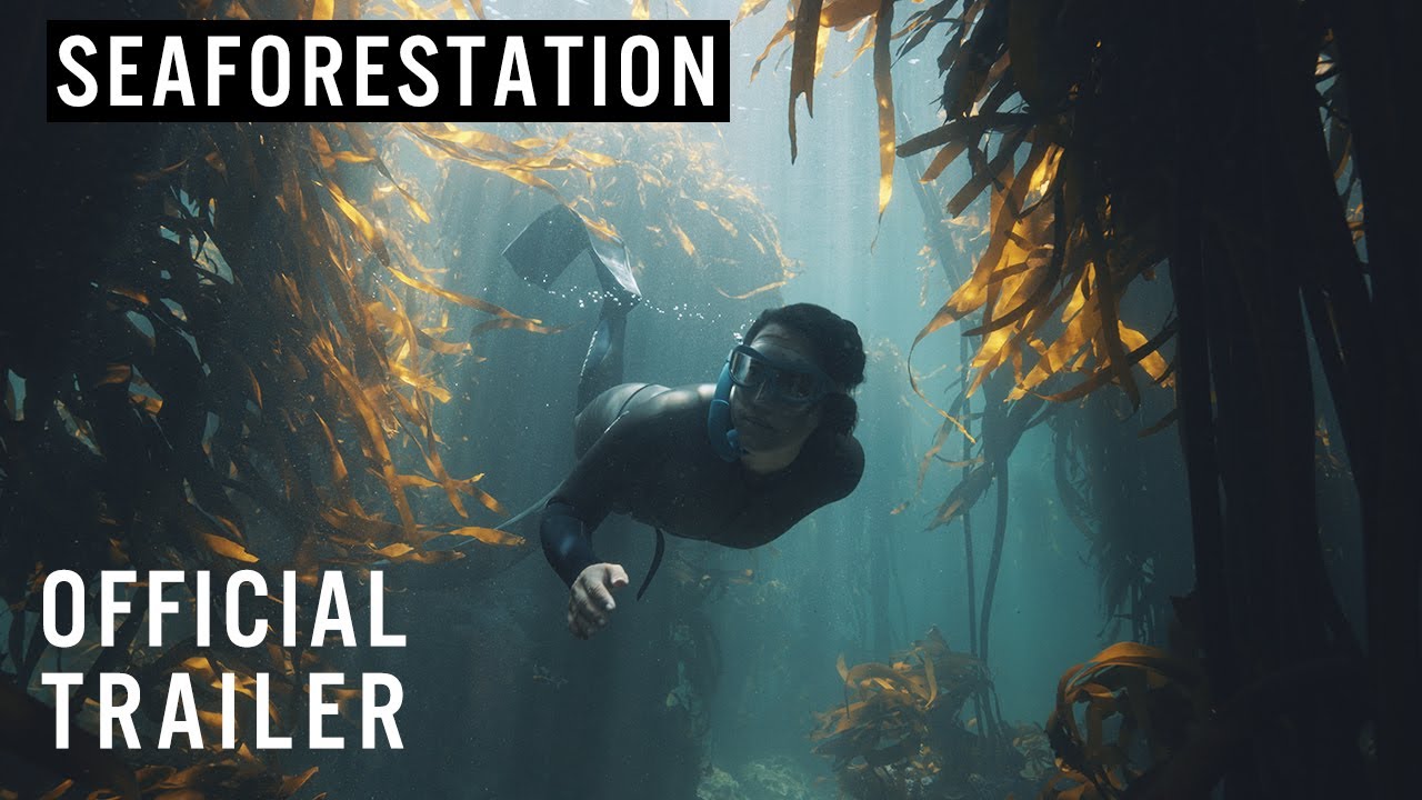 Seaforestation Trailer