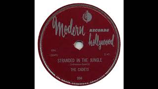 Stranded in The Jungle  -  The Cadets