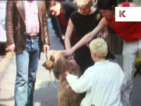 Late 70s, Young Punks on the King's Road