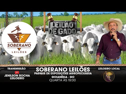 SOBERANO LEILÕES GOIANÉSIA-GO 22/10/2025 LIVE JENILSON ROCHA