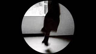 Vladislav Delay - Heko