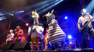 Kasalla-Mer sinn uns widder @Final4 Ehf Lanxess Arena 30.05.2014