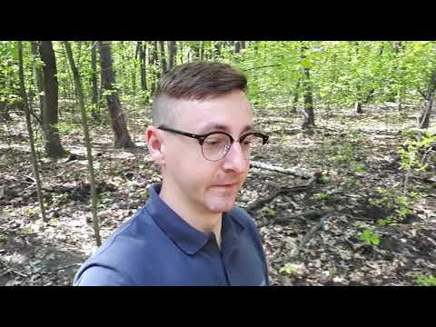 E-lekcja: poznajemy warstwy lasu