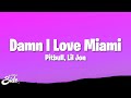 Pitbull Damn I Love Miami Lyrics Ft Lil Jon