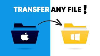 Transfer Any File from iPhone to Windows PC Easily!