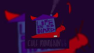 CULT MOUNTAIN - LIFE IS SO HARD