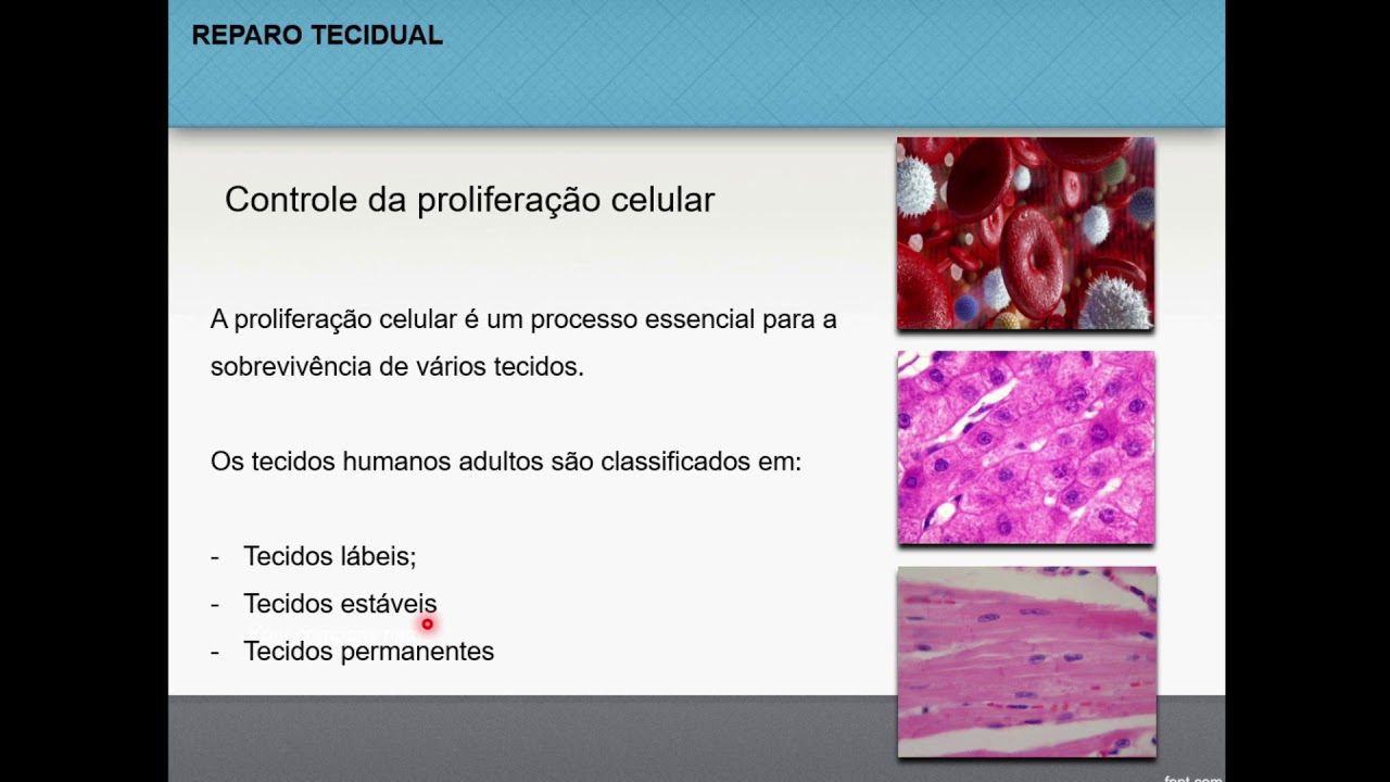 Reparo tecidual - Patologia geral (1/5)