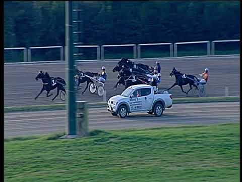 Trotto 29/10/2019 - 2ª corsa