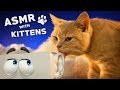 ASMR With KITTENS Ear To Ear Purring Goodie Smacking Fur Grooming