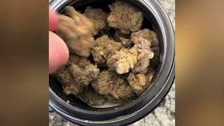 ￼ Platinum Grapes Strain Review 🍇🔥 | Craft Cannabis 23–27% THC OGKB x Platinum KUSH
