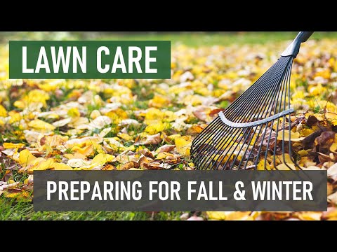 How to Prepare Your Yard for Fall and Winter