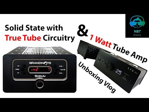Just Got in - Solid State amplifier that sounds like TUBE & 1 Watt Tube Amplifier - Shinai & MZ3