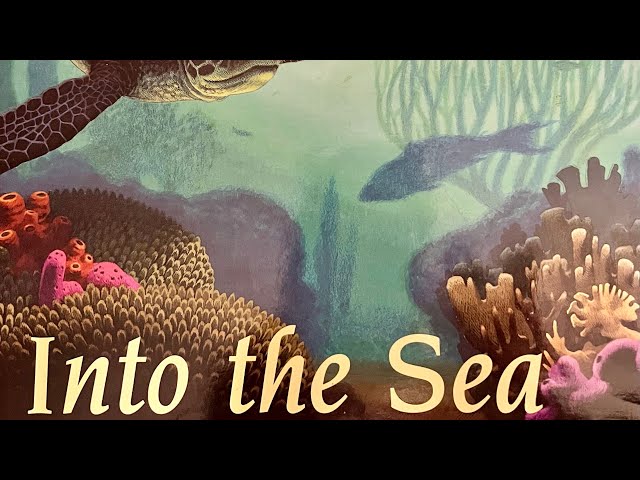 Vídeo relacionado con Into the Sea