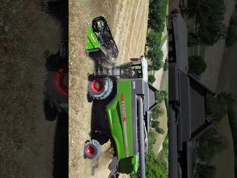 Fendt 5275 CSL - Trebbiatura 2024 - Az.Agr. Bruni Andrea  #farming #agrifb #fendt #harvesting2024
