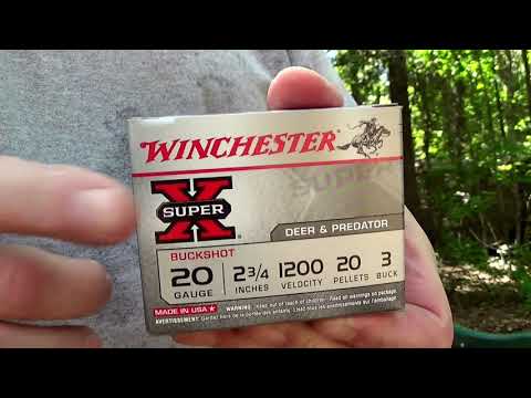 Testing Buckshot for Youth Hunters! 20 Gauge...