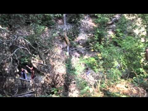 Vlog #1: MHS Senior Picnic 2016