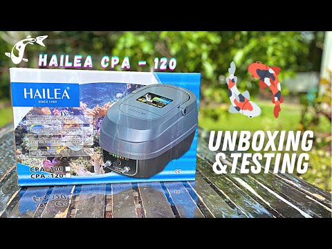 Hailea CPA 120 Ac/ Dc Air Pump