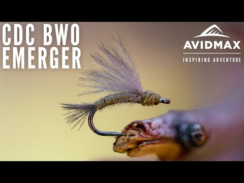 image-What is a BWO fly pattern?