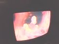 Opening To The Aristocats 1996 VHS
