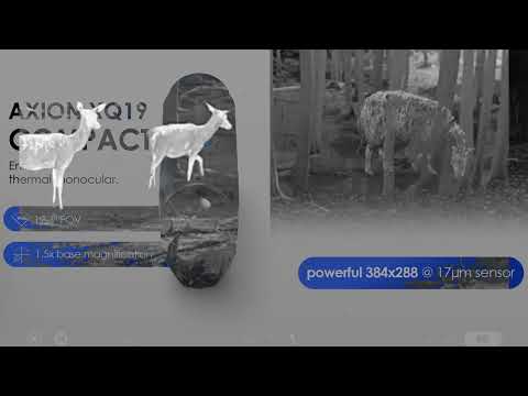 Ako ukazuje termovízia